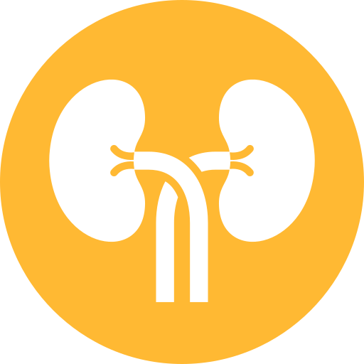 Kidney Logo